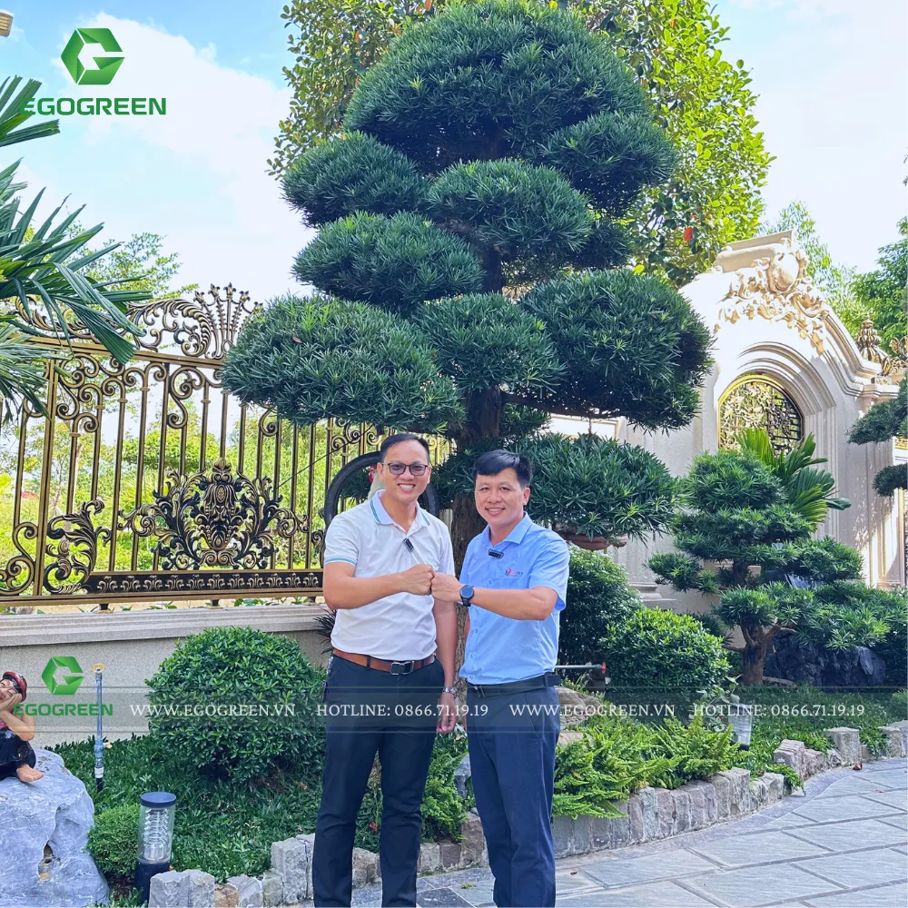 Nghiêm túc và tôn trọng khách hàng là nền tảng của EGOGREEN.